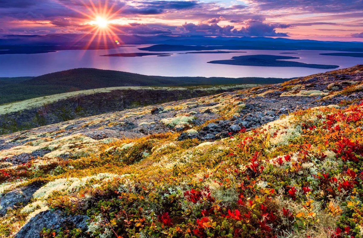 Тундра весной