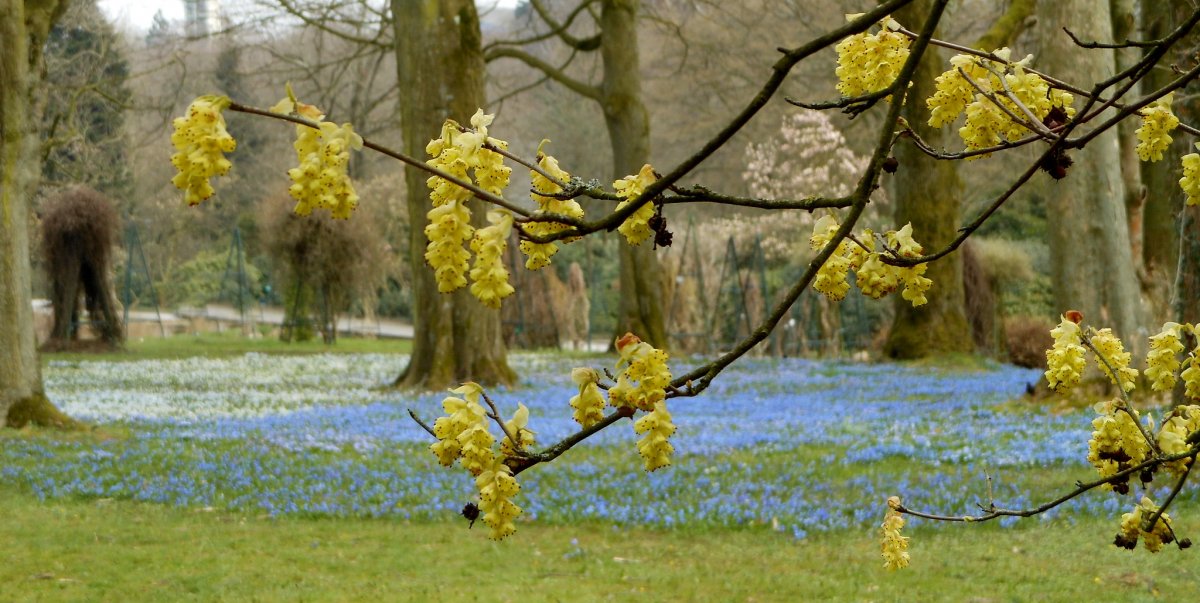 Фото красота весны для 2 класса распечатать