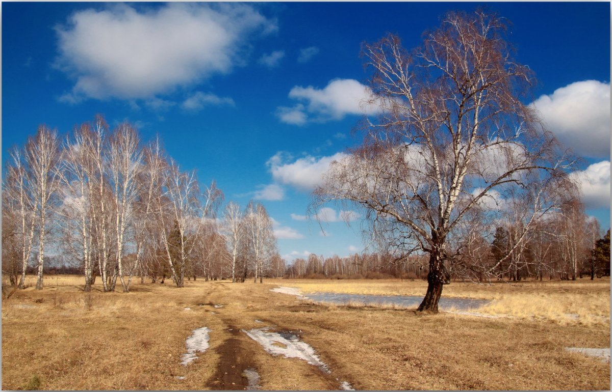 Весне дорогу!