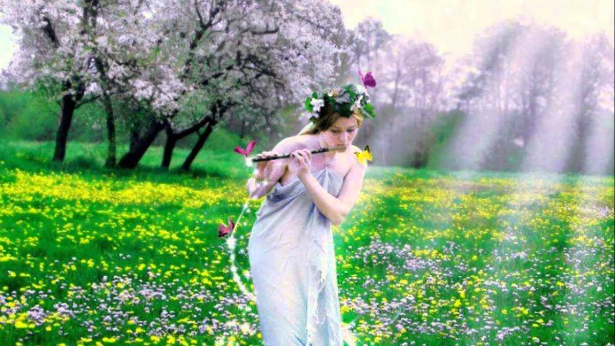 Ранняя Весна птицы