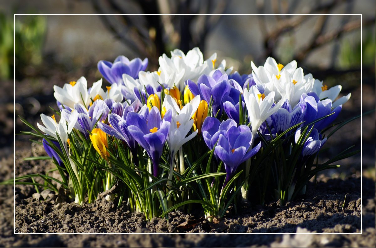 Обои на рабочий стол апрель