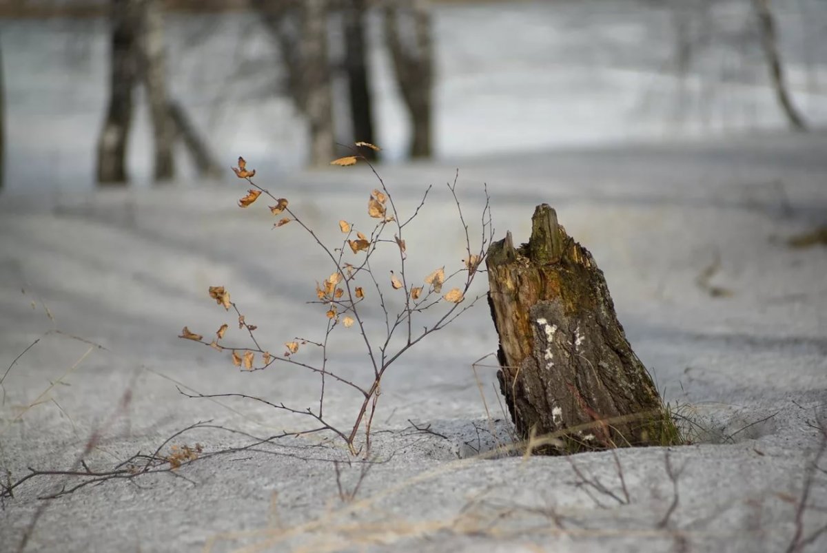 Девушка в снегу