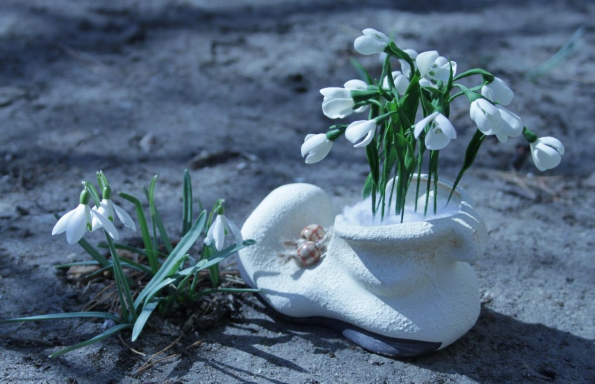 Весне дорогу!