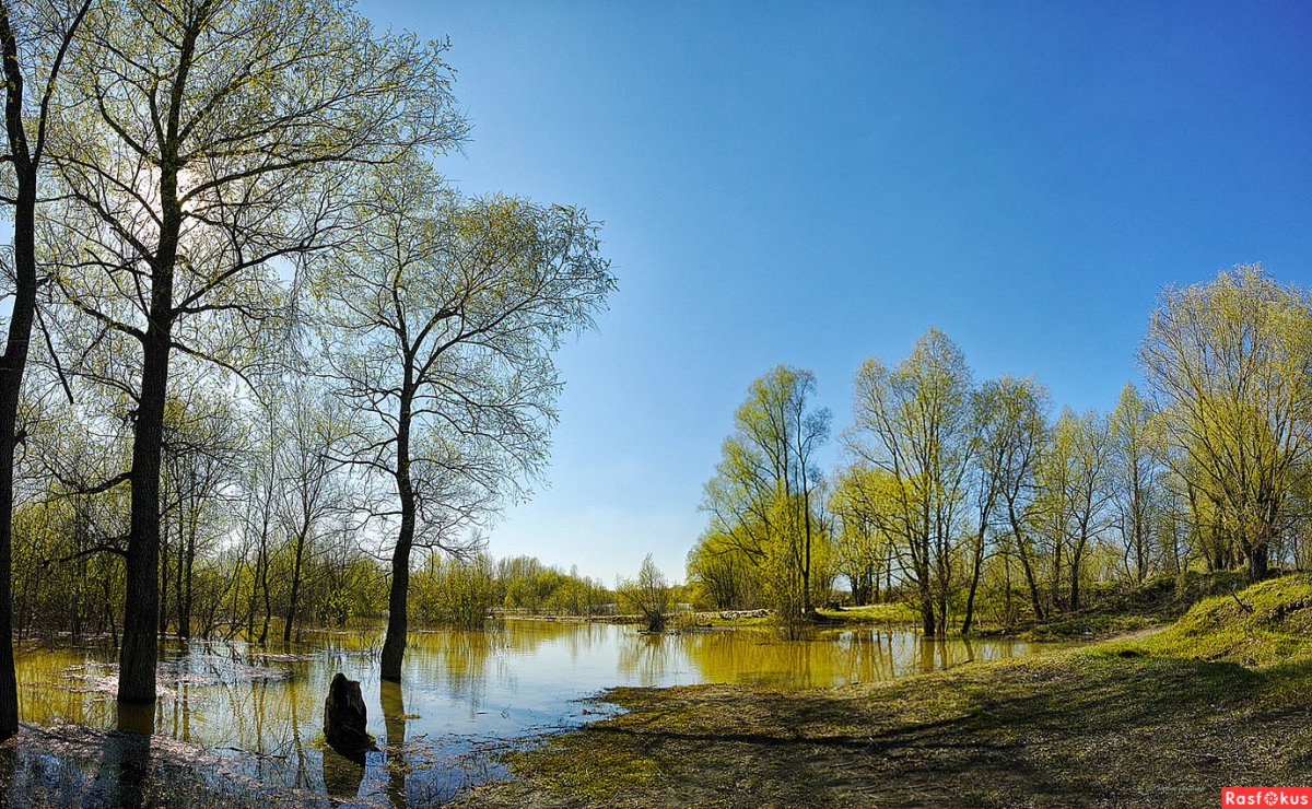 Весна в Подмосковье