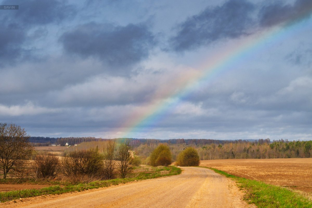 Весна цветы