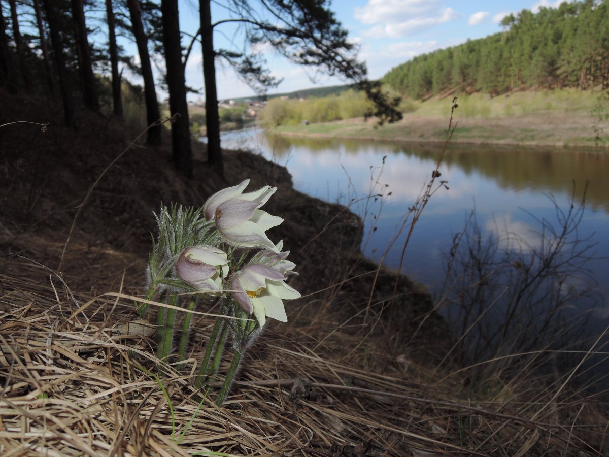 Весна Харабали природа парк