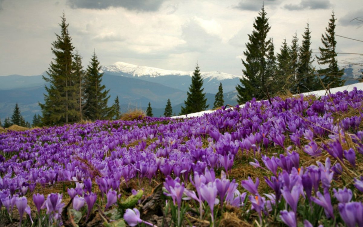 Весна в Белоруссии