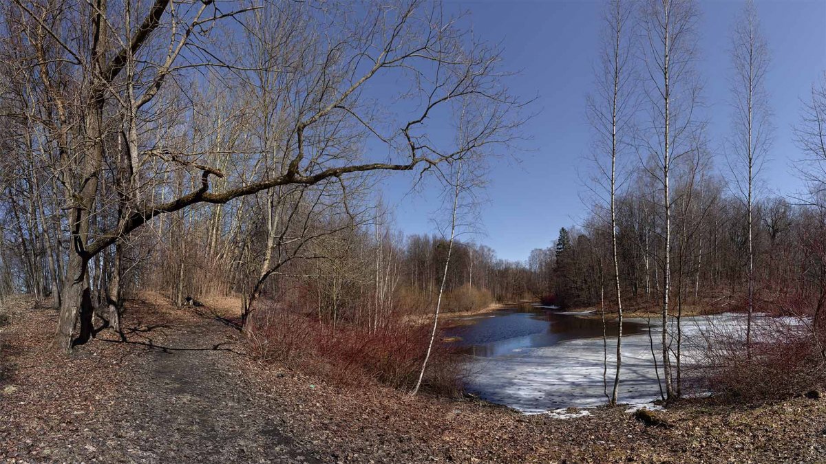 Весна лес озеро