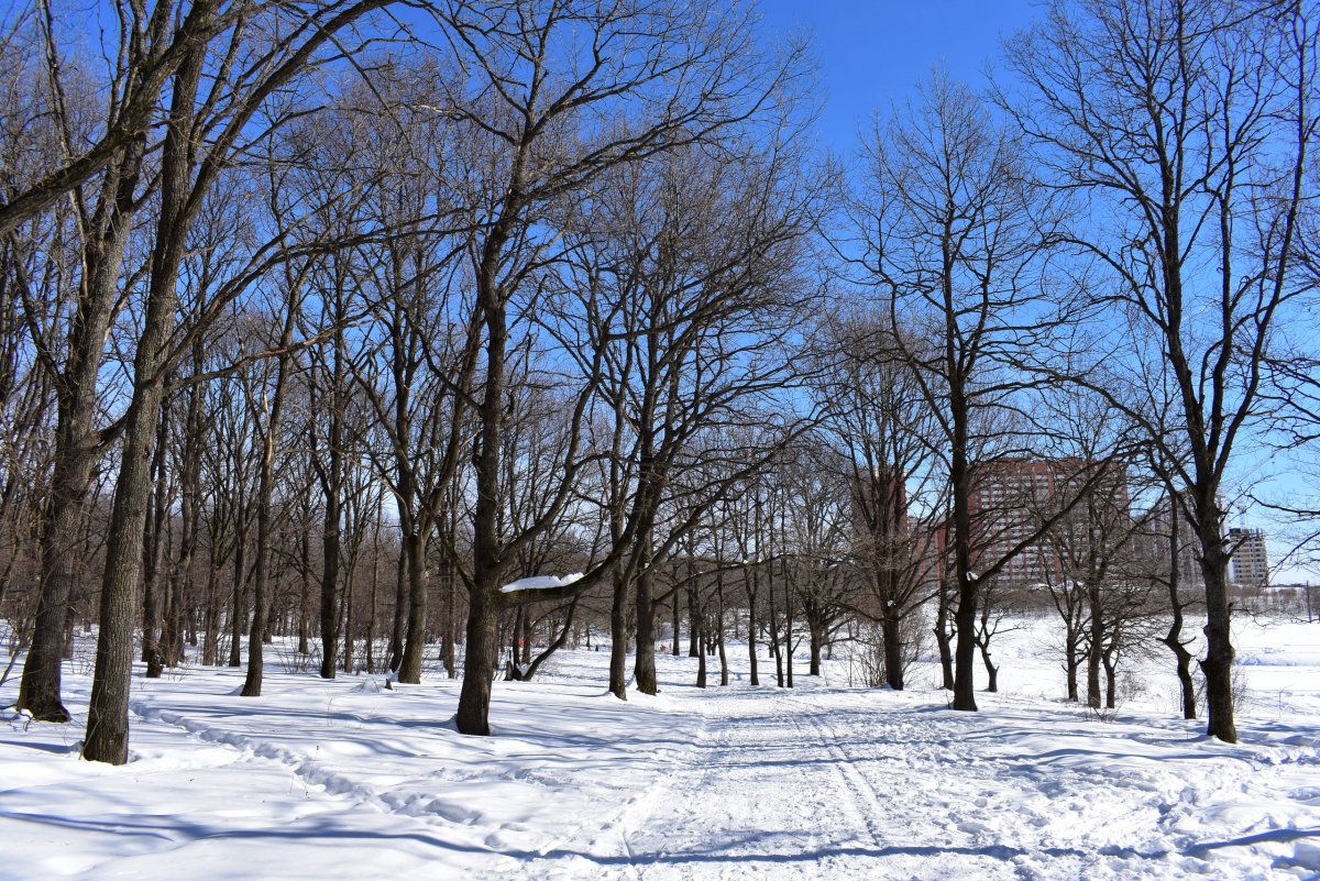 Парк Дружба первый снег