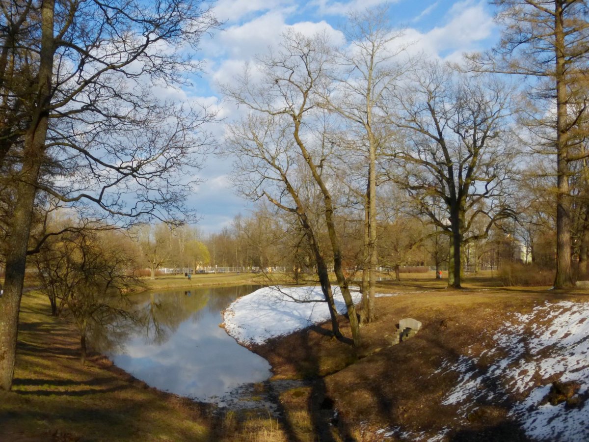 Весна природа пробуждается пейзаж