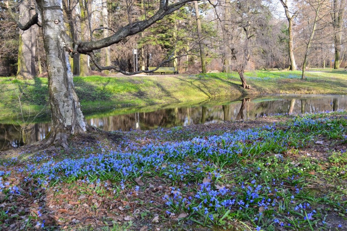 Весна Весна на улице весенние