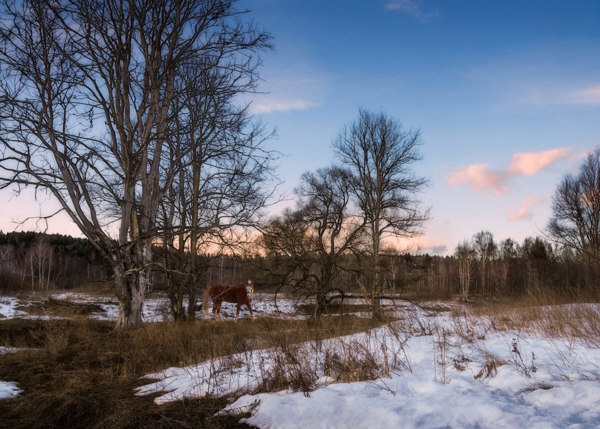 За городом природа Весна