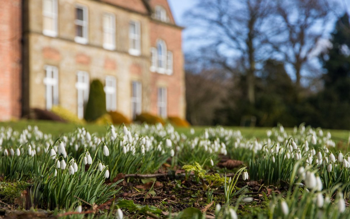 Парк цветов кёкенхоф (г. Лиссе)