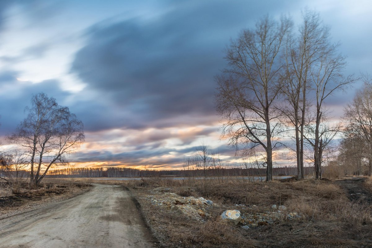 Ранняя Весна серая