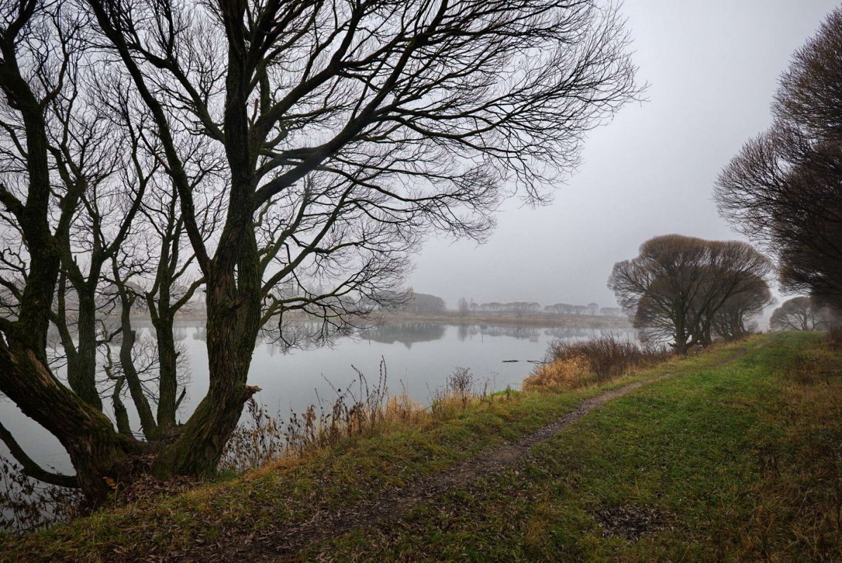 Пейзаж в пасмурную погоду