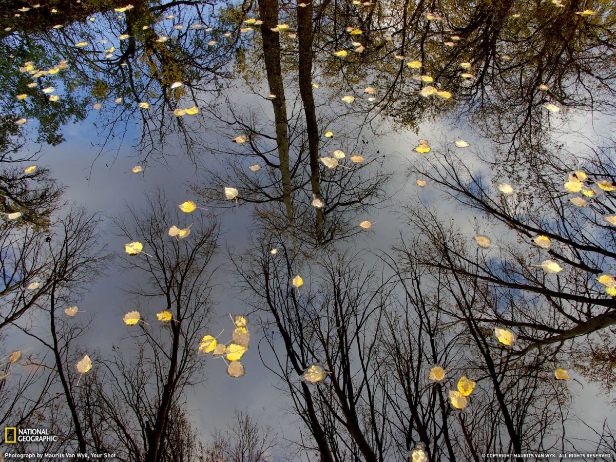 Дождливый ноябрь