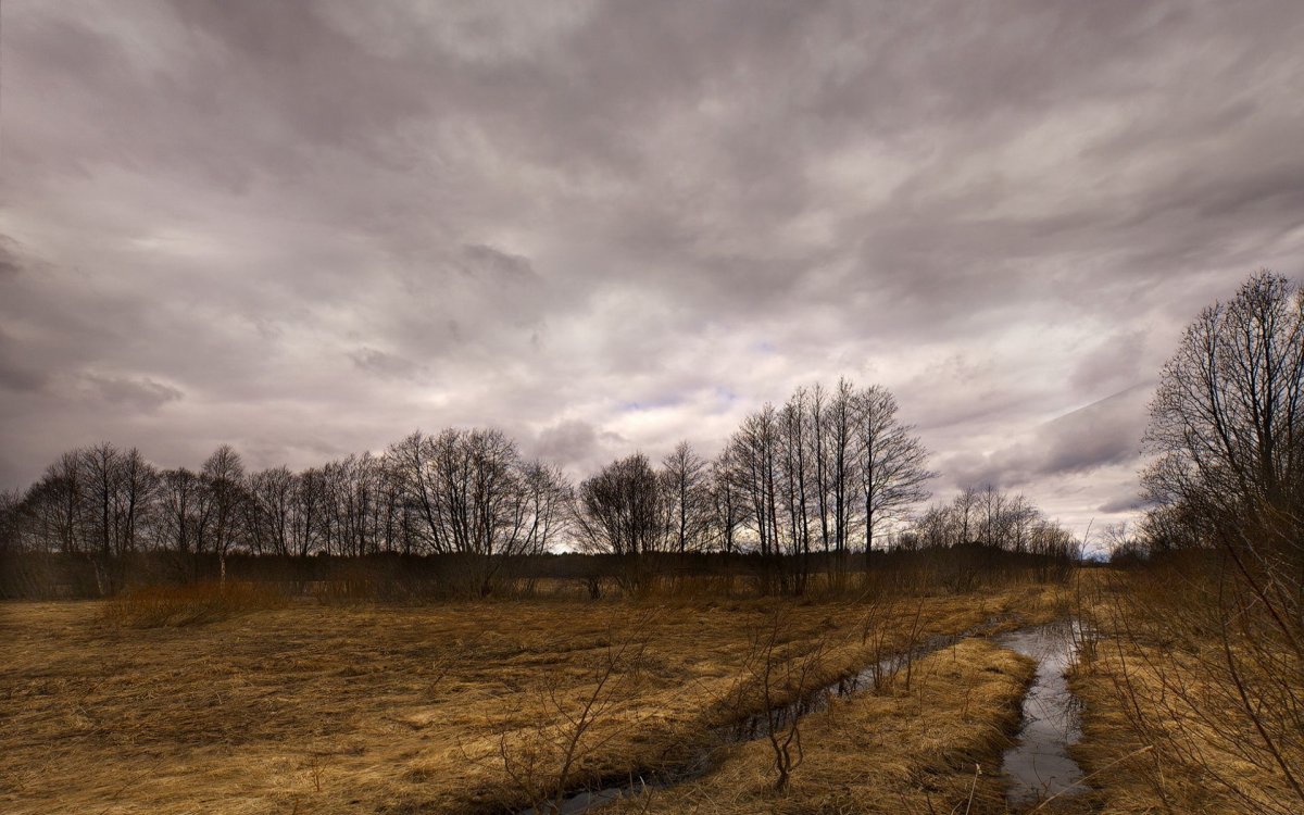 Поздняя осень в поле