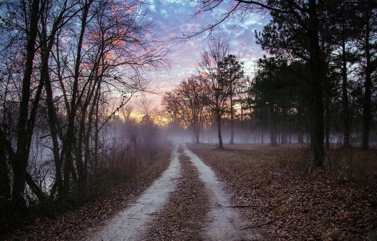 Тусклая осень