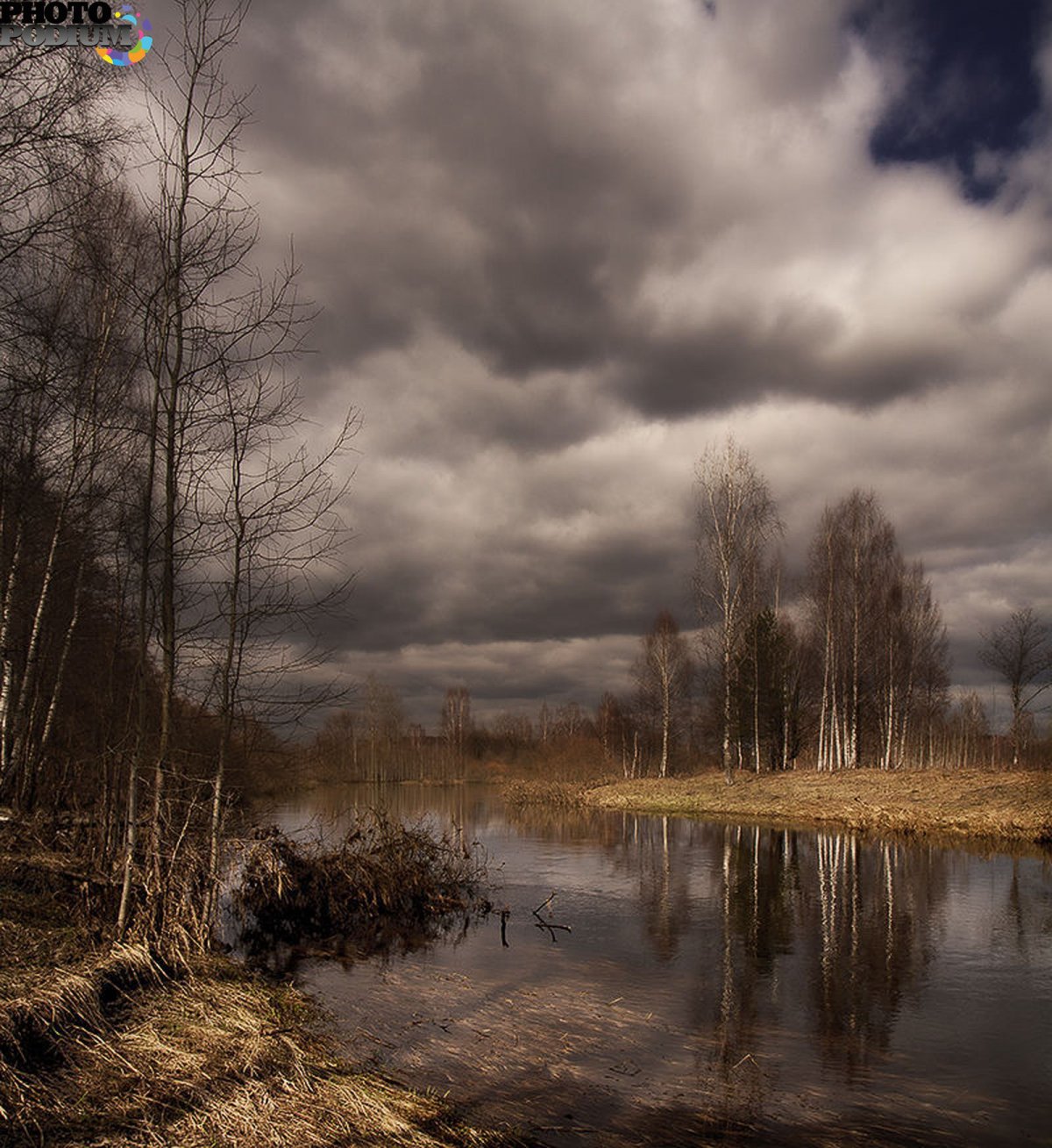 Пасмурный пейзаж