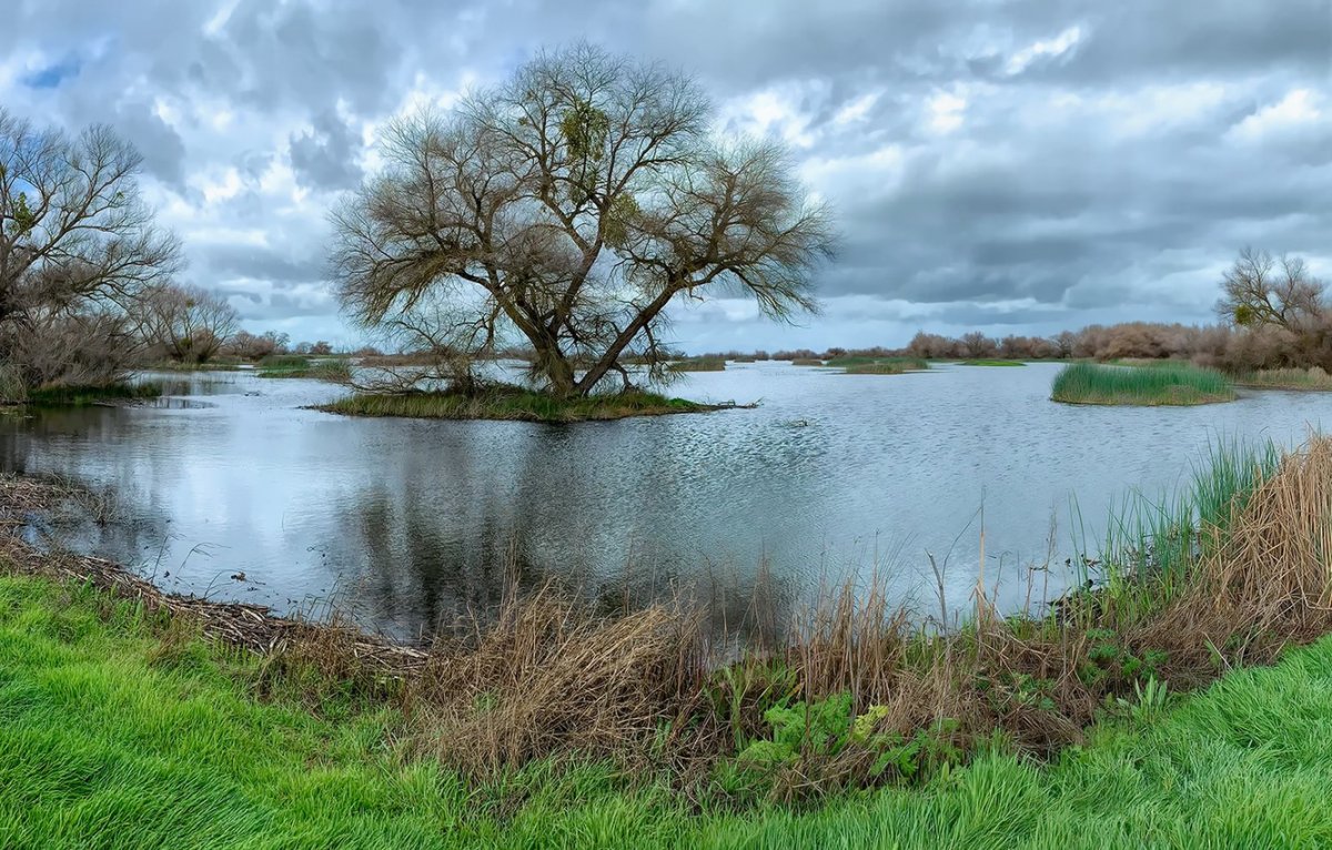 Природа Весна пасмурно