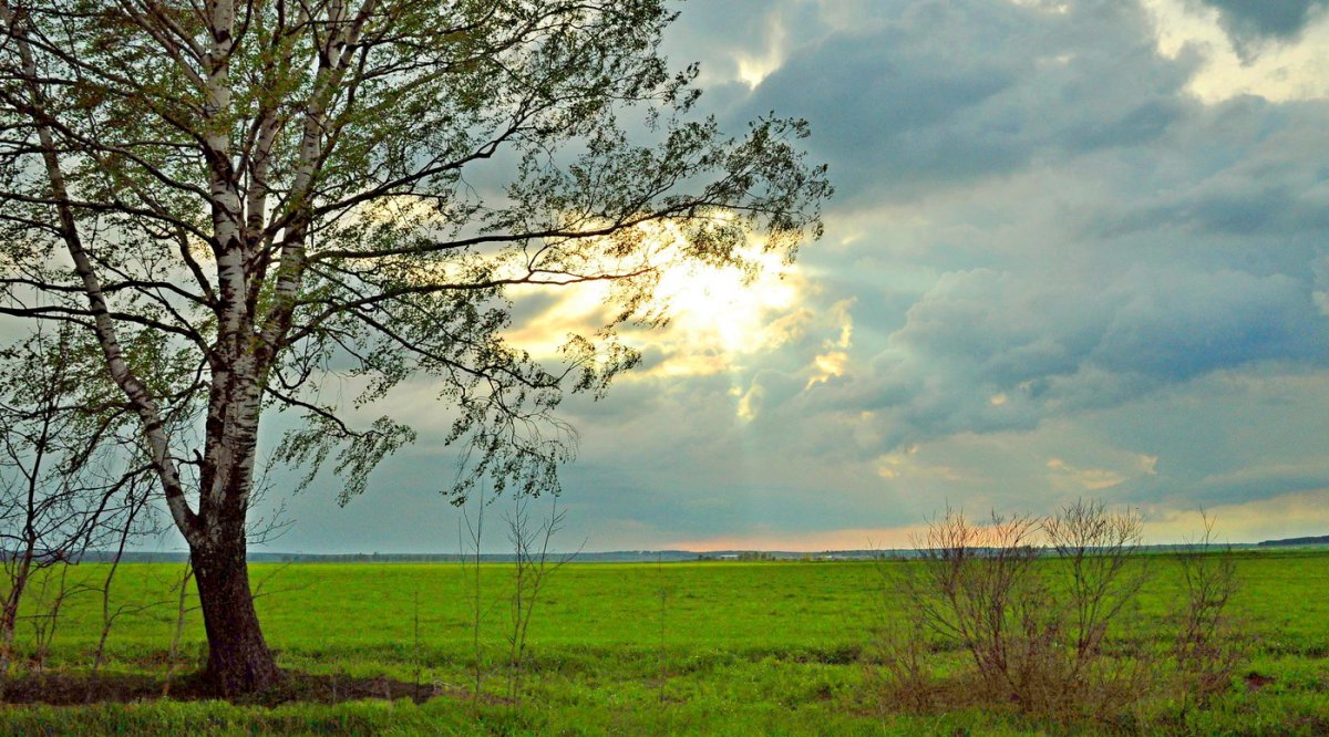 Пасмурно без осадков