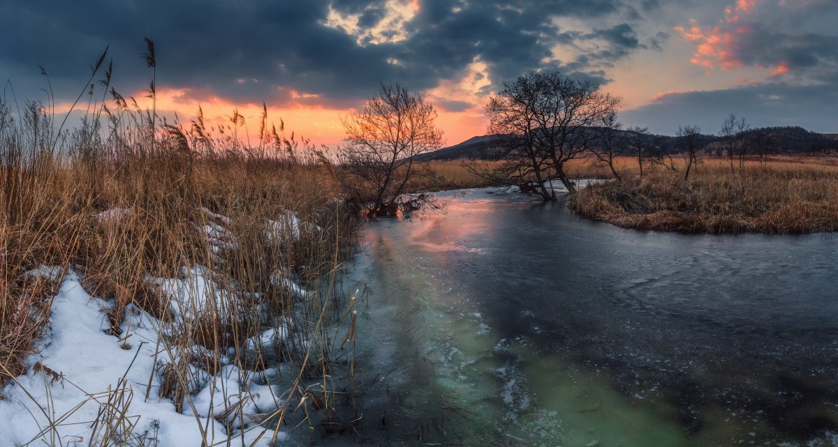 Природа России весной