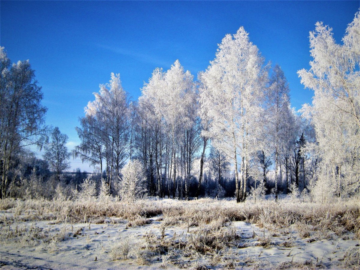 Уральская природа январь