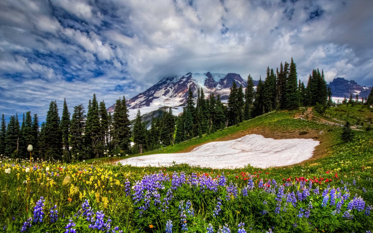 Лофотенские острова реки водопады