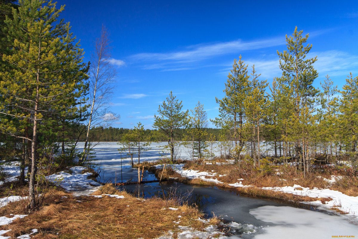 Озеро Ликолампи Карелия