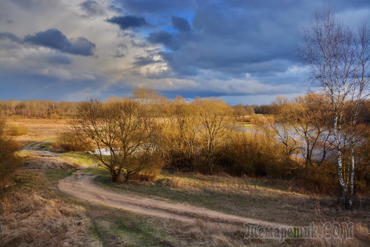 Весна пейзаж