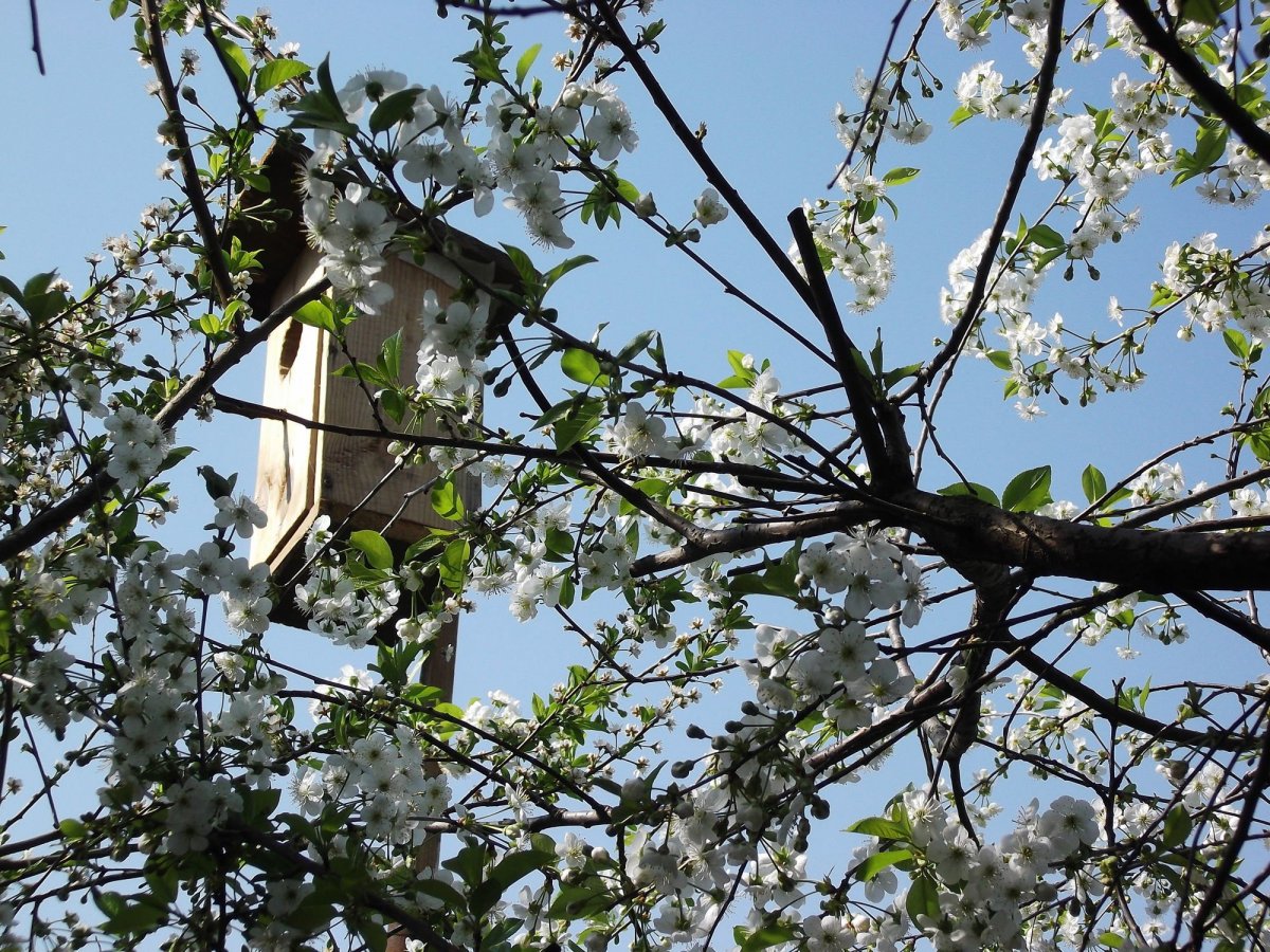 Беларусь весной