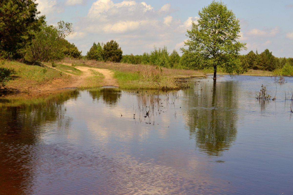 Белоруссия весной