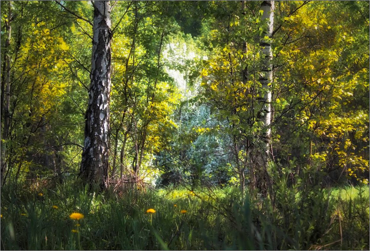 Пейзажи России