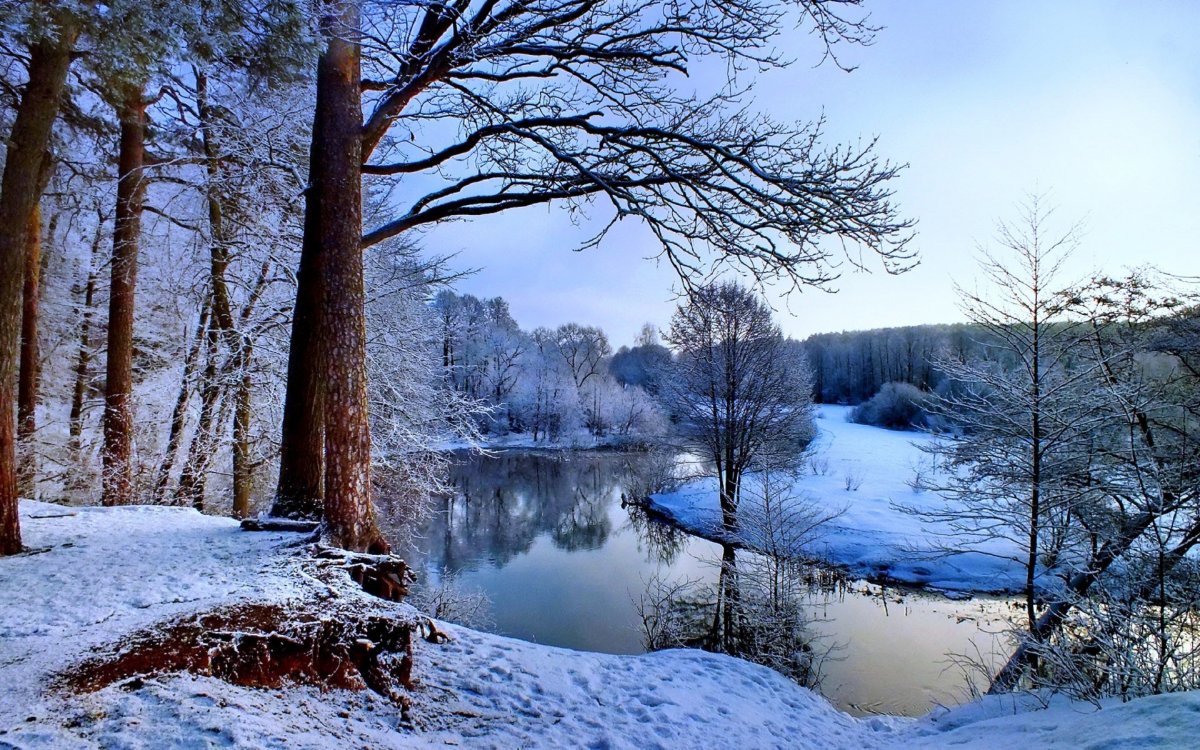 Пейзаж ранняя зима