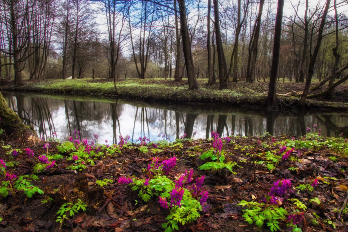 Весна Беларусь на рабочий стол