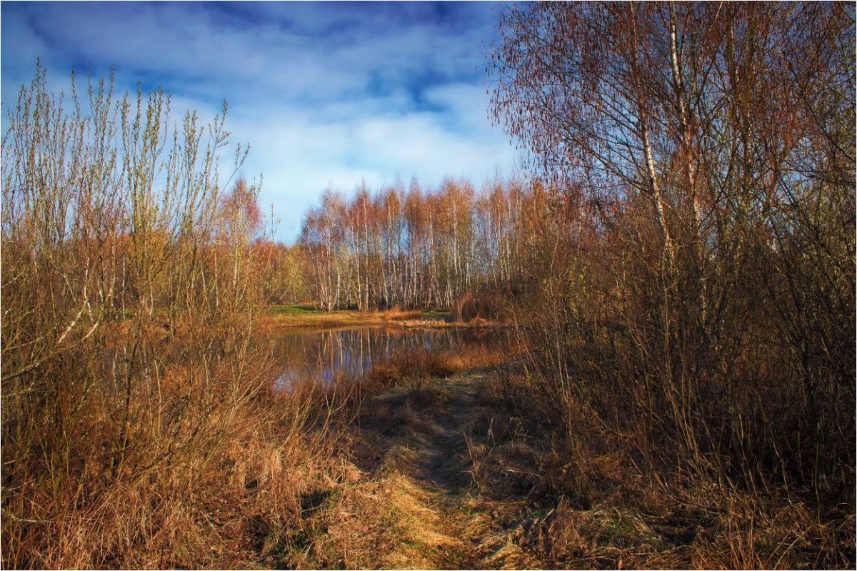 Климат Белоруссии Весна