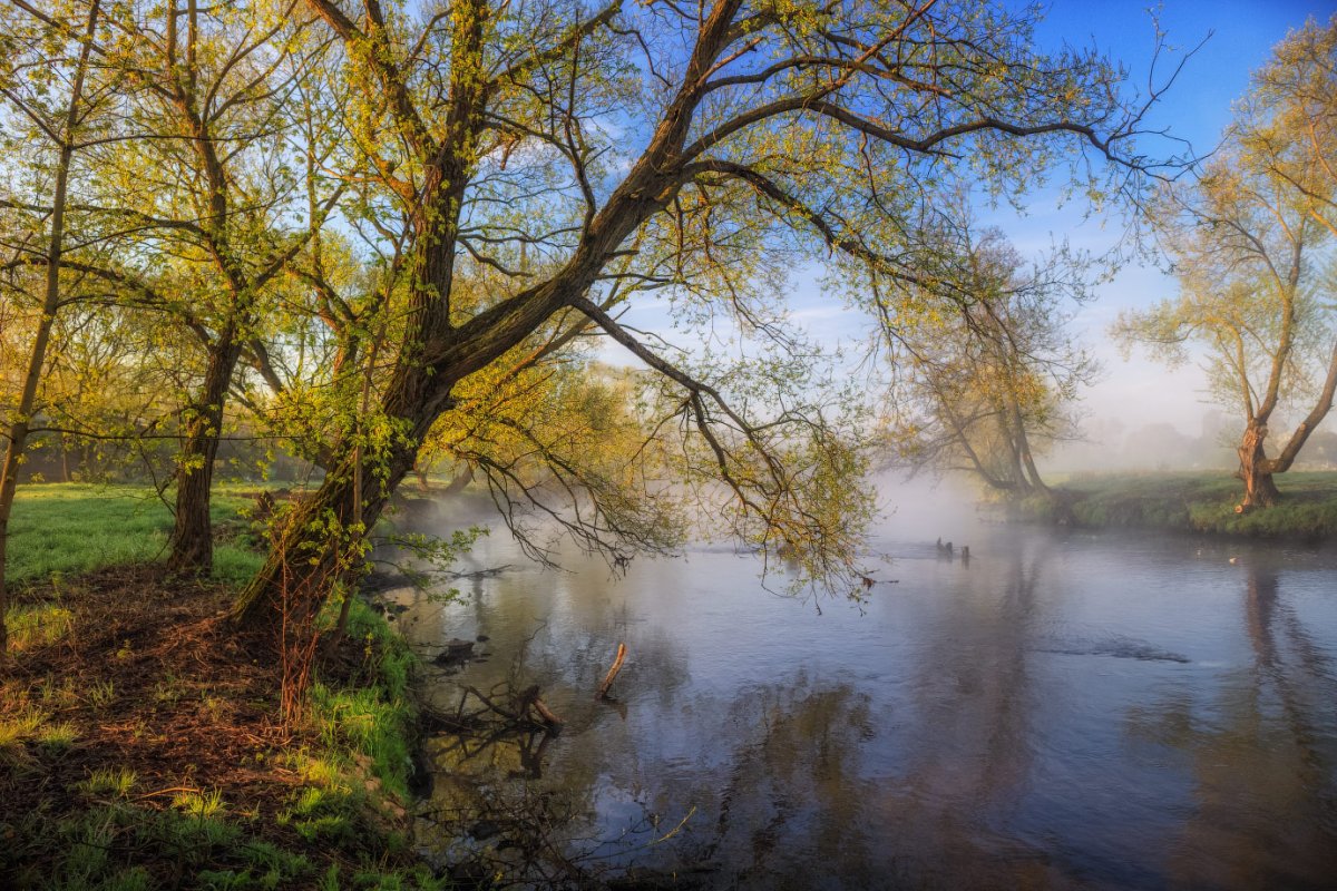Пейзаж Весеннее утро