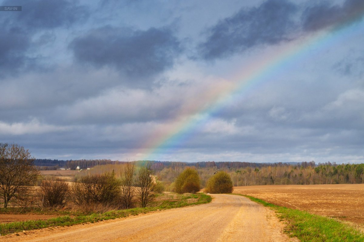 Весна в Белоруссии