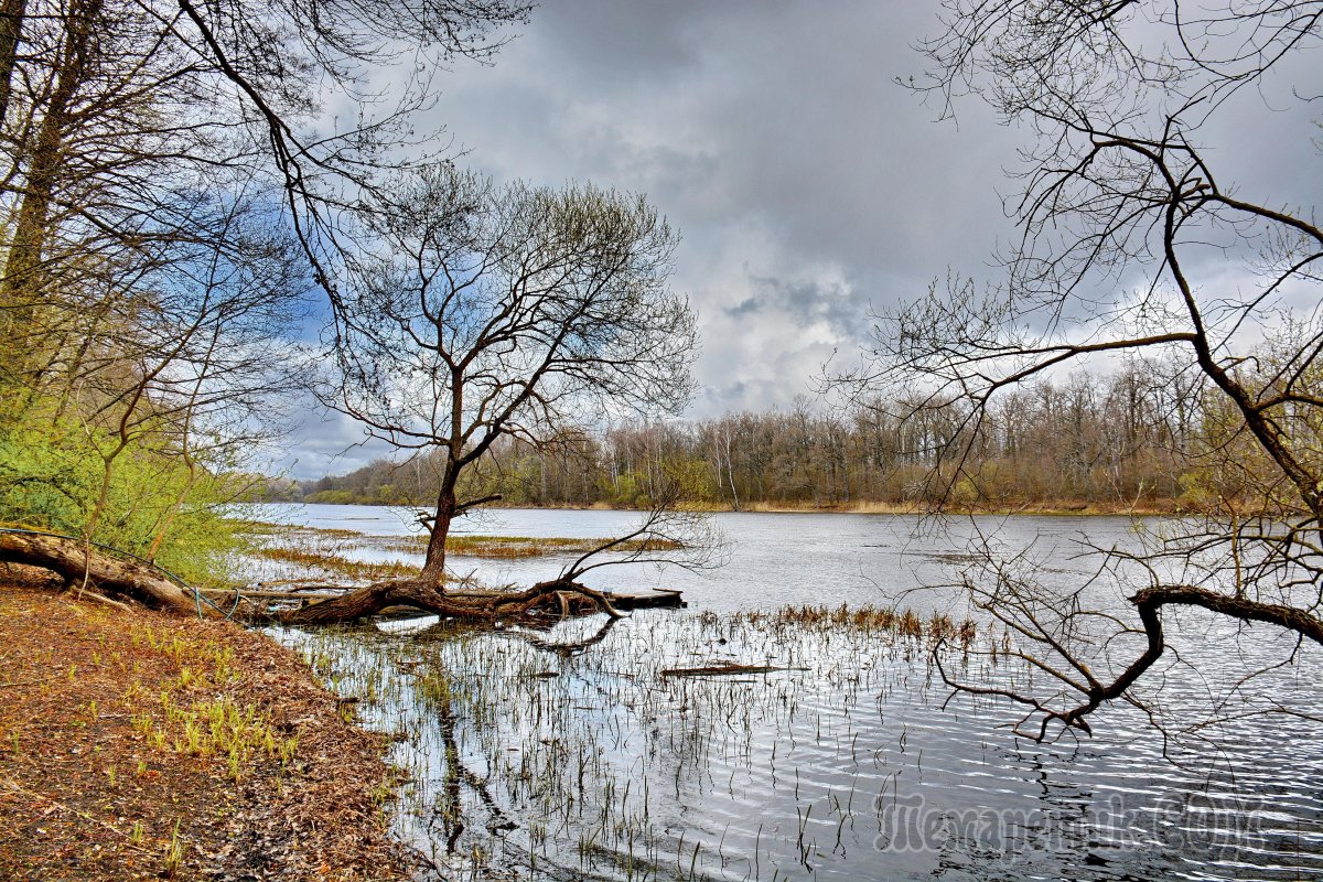 Весна в Беларуси