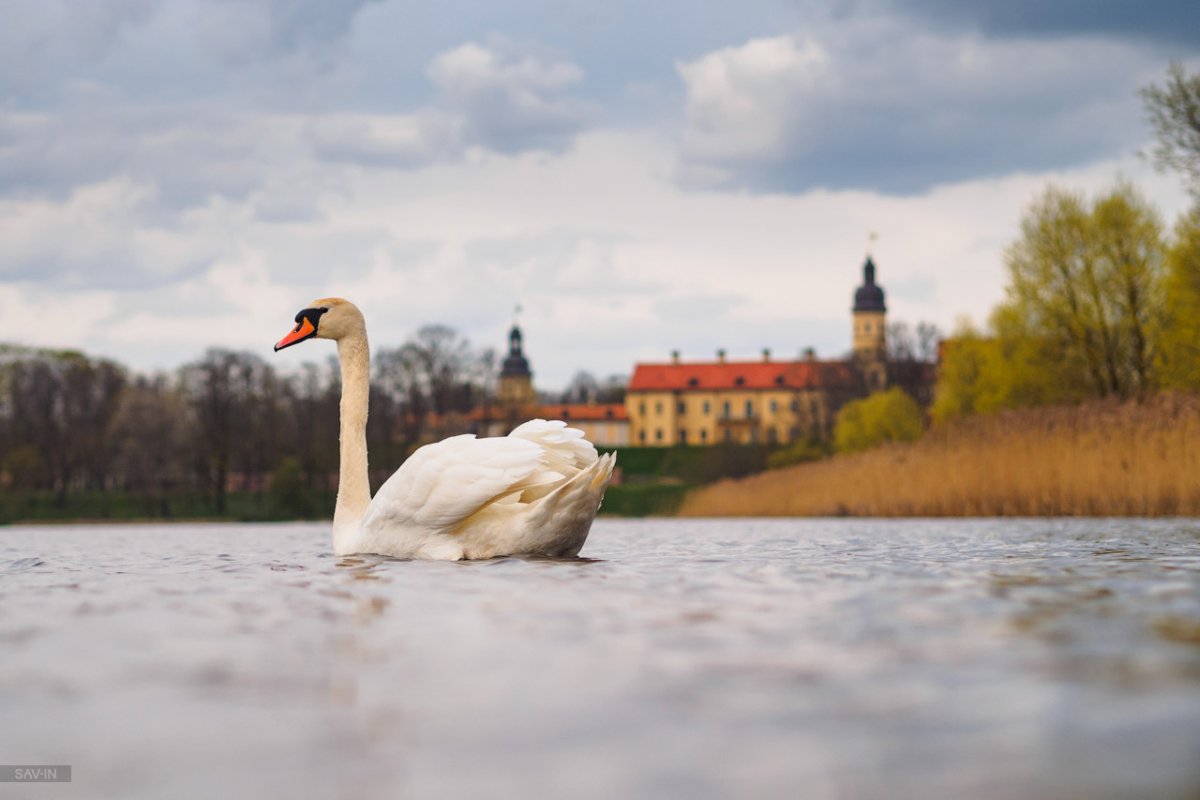 Весна в Белоруссии фото