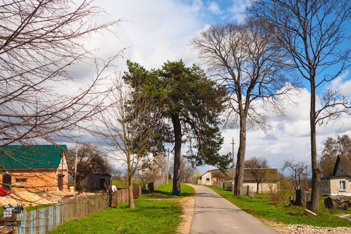 Парк белорусская деревня Белоруссия