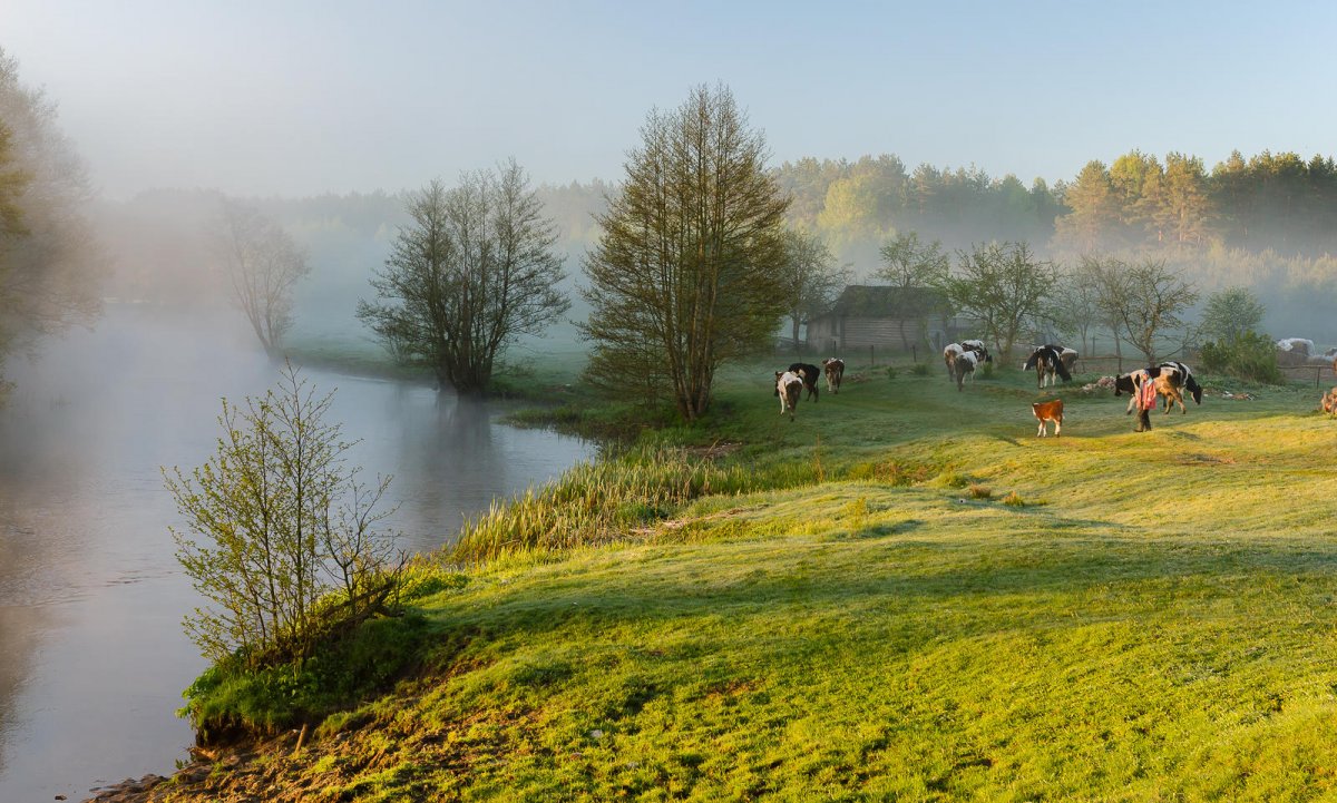 Фото Весна природа