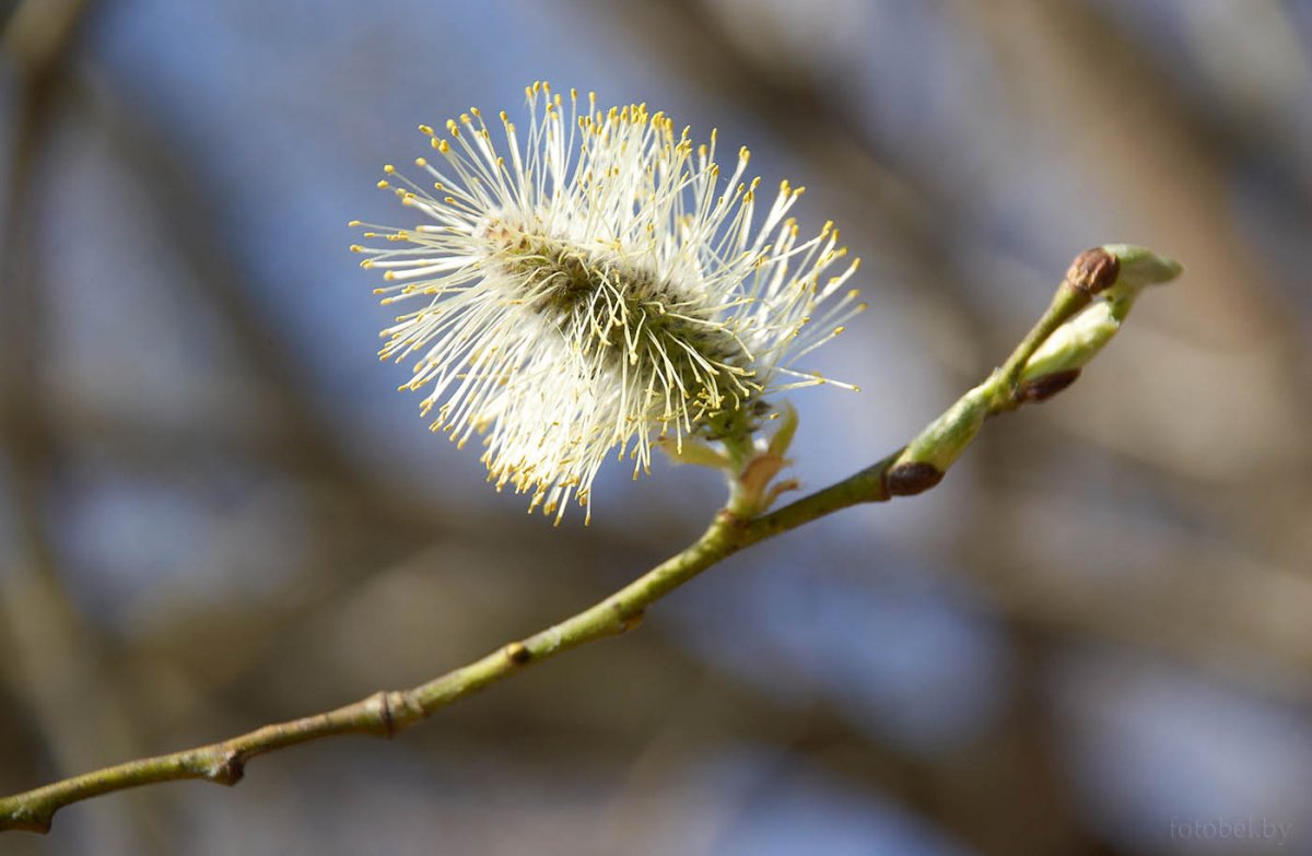 Город Гродно Беларусь