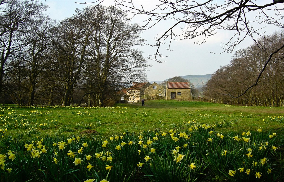 Весна Англия сады и парки