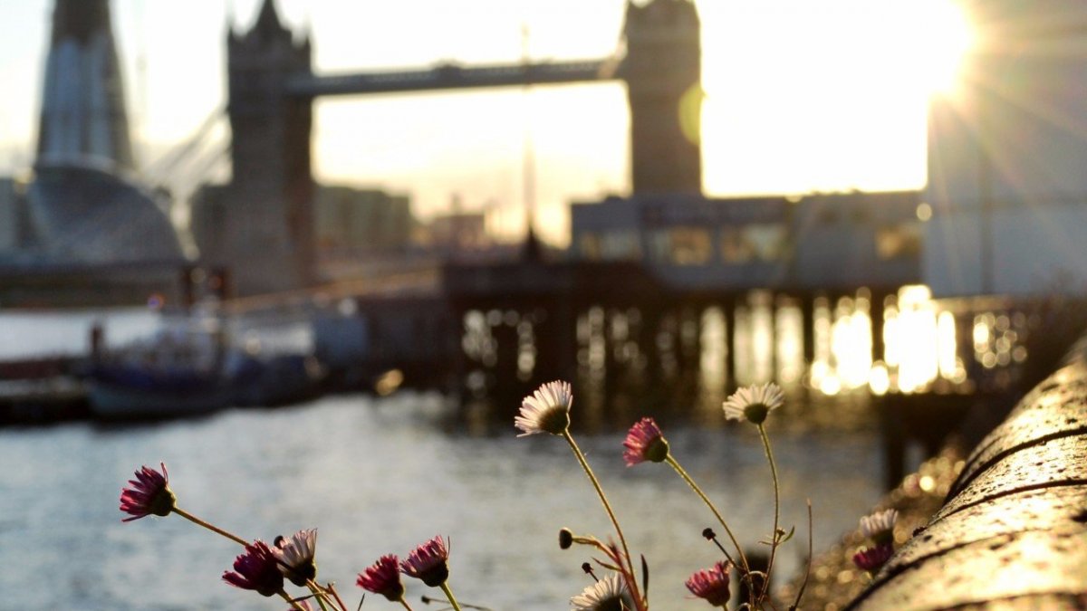 Англия Весна любовь