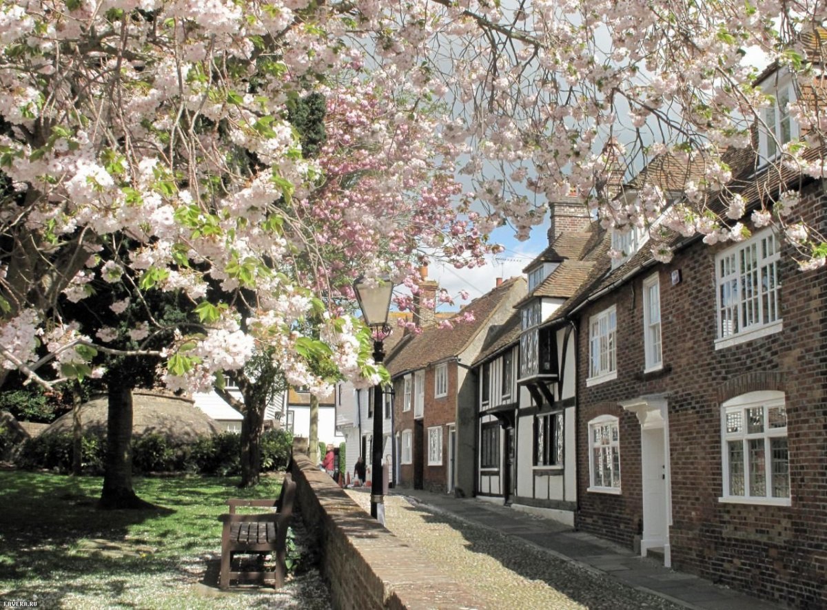 Весна в Англии
