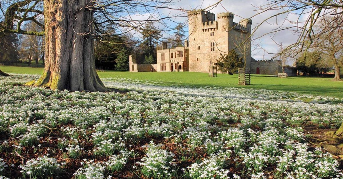 Замок Белси