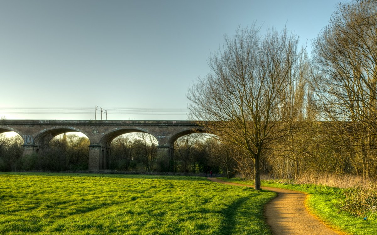 Англия Лондон природа