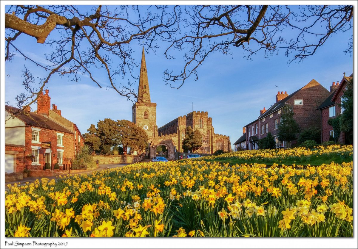 Эпсом город в Англии цветы