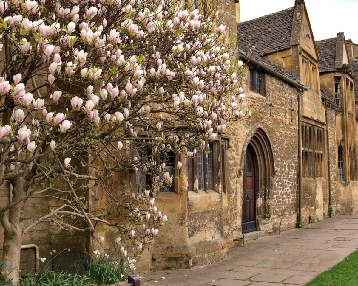 Красивые улицы мира